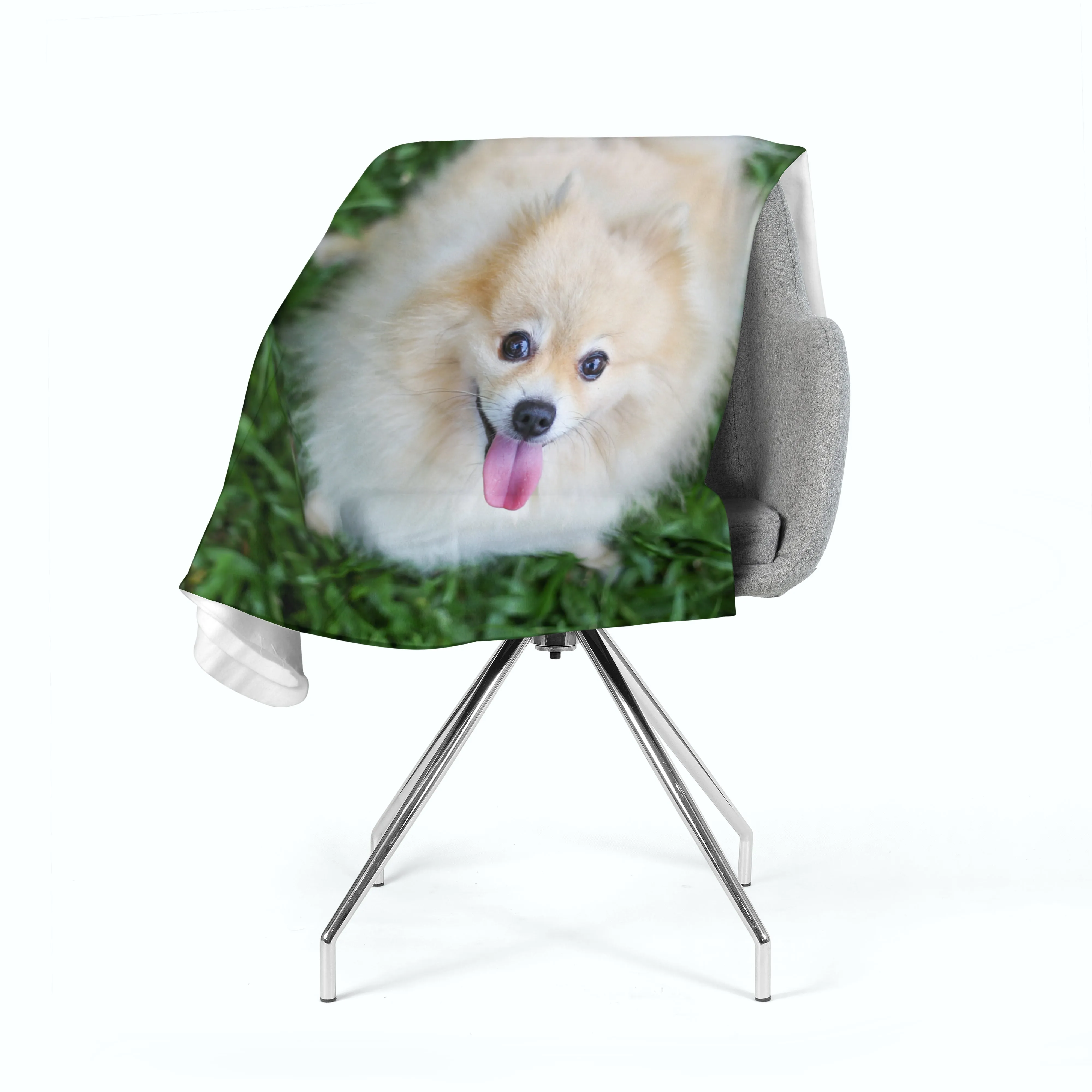 Fleece Blanket Happy Pomeranian Dog