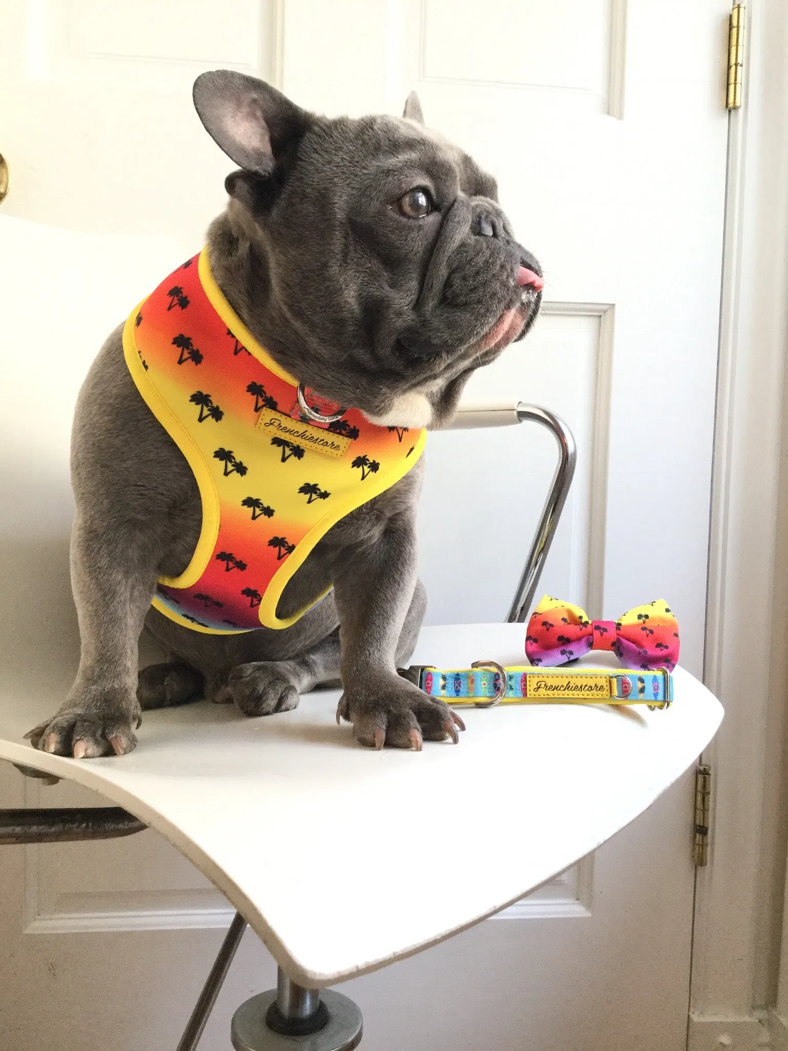 Frenchiestore Pet Bowtie |  California Dreamin'