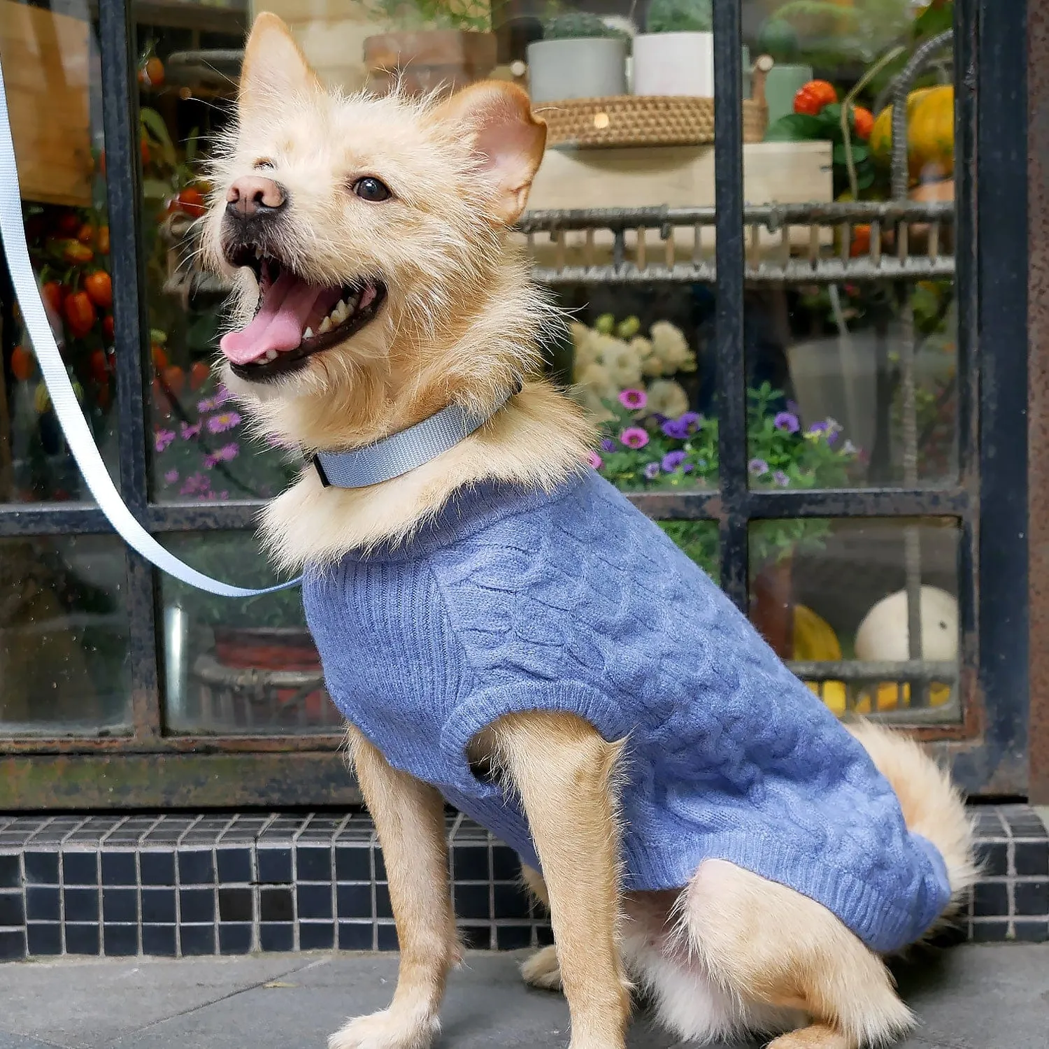 Fuzzy Textured Knit Dog Sweater, Crew-neck