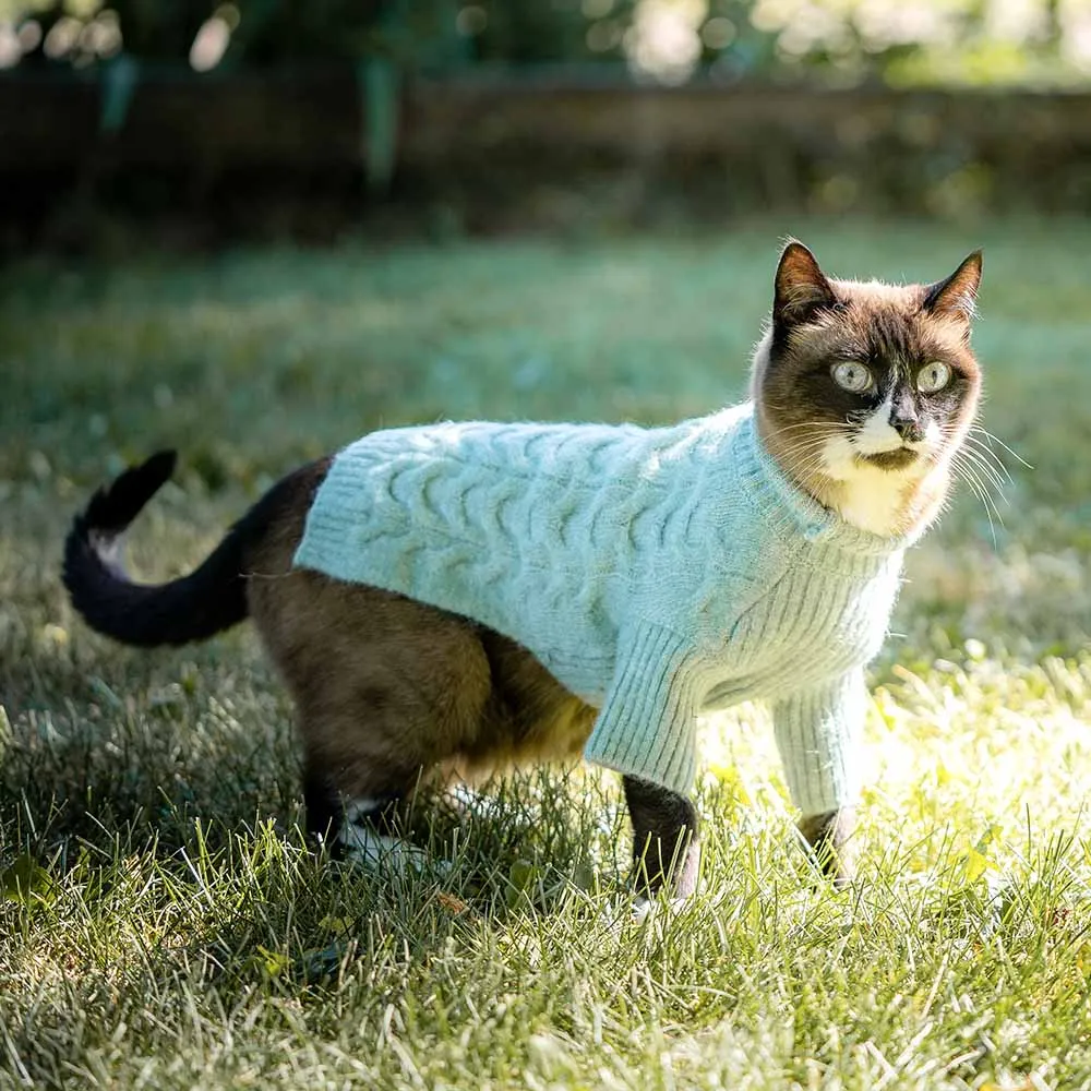 Fuzzy Textured Knit Dog Sweater, Turtle-neck