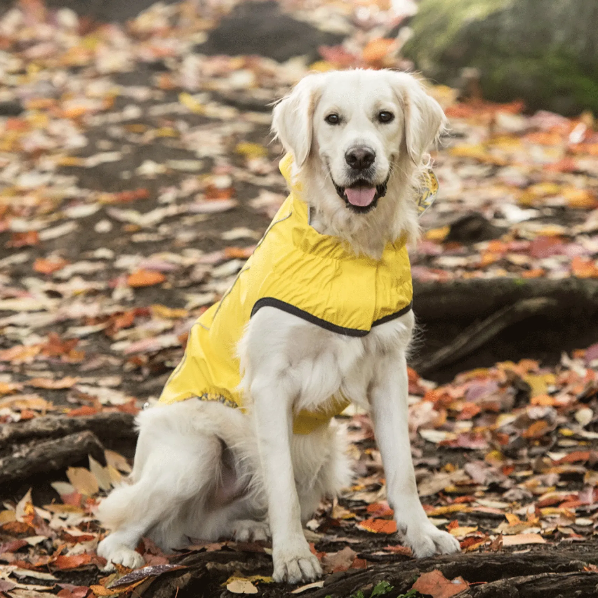 GF Pet Reversible Yellow Dog Rain Jacket