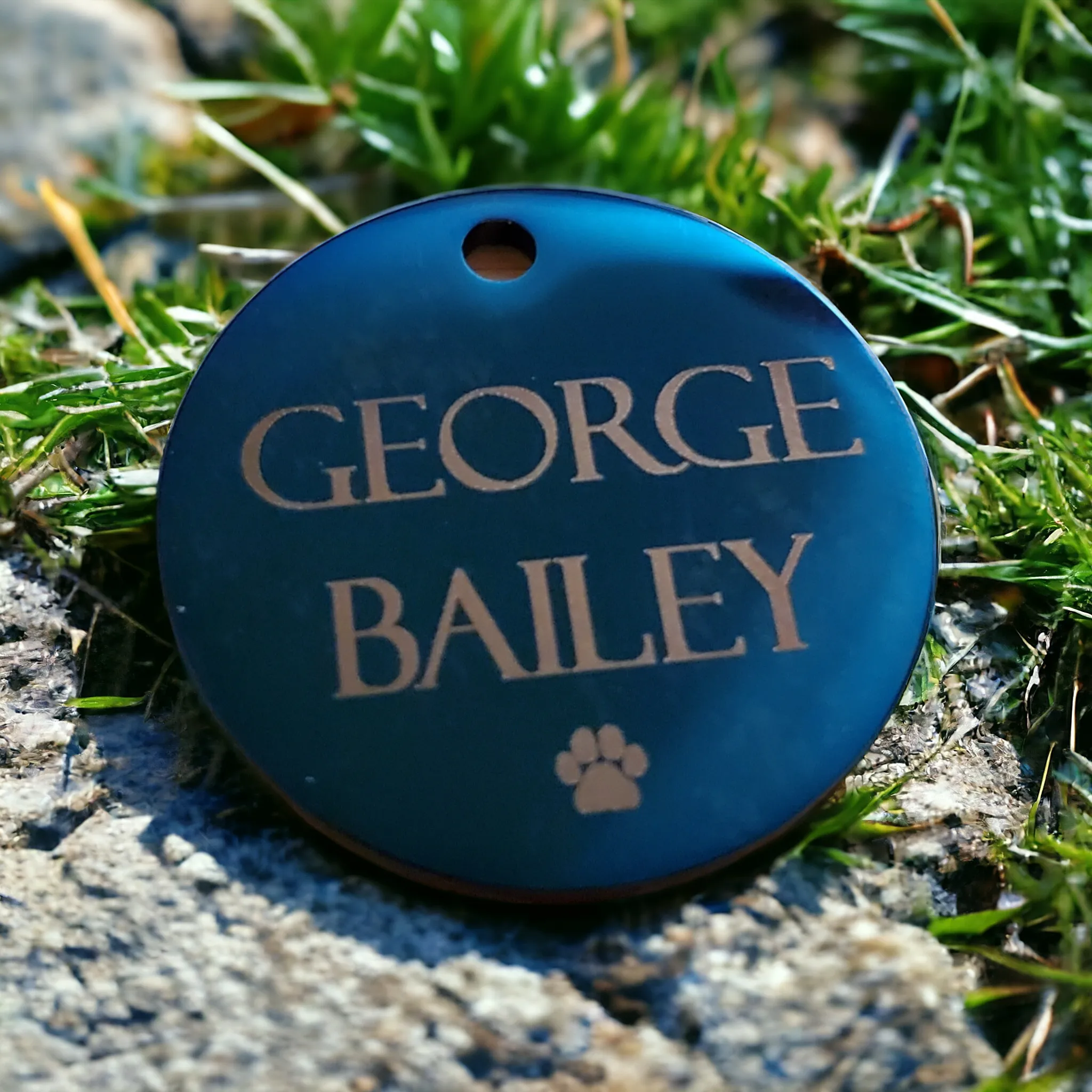 Gold Pet ID Tag | Round Laser Engraved Dog Tag Stainless Steel