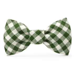 Heather Taylor Home x TFD Mini Gingham Hunter Green Dog Bow Tie