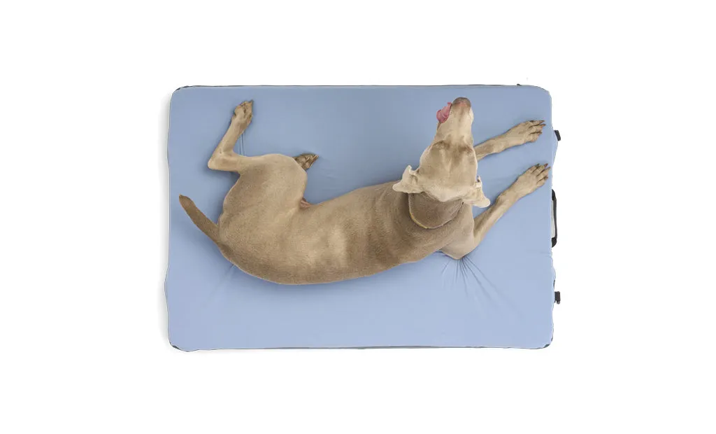 HEST DOG BED