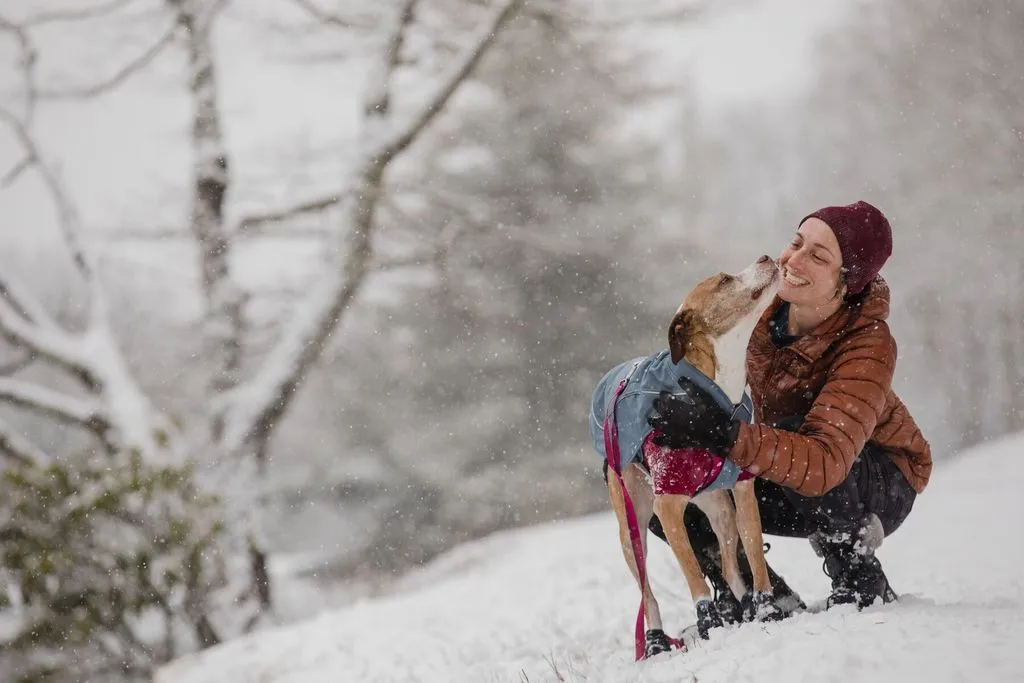 Overcoat Dog Jacket from Ruffwear, Eco-Friendly & Durable!