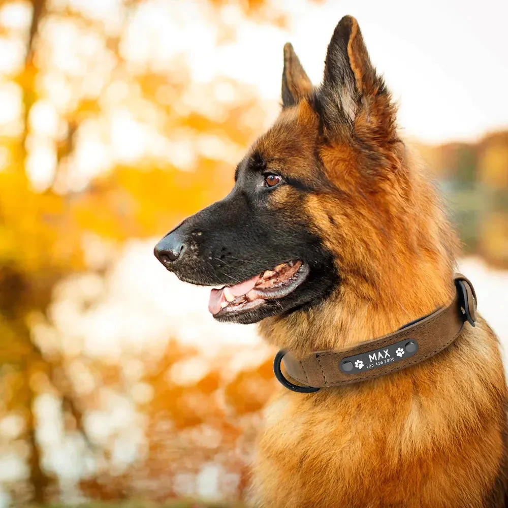 Personalised Custom Leather Dog Collar