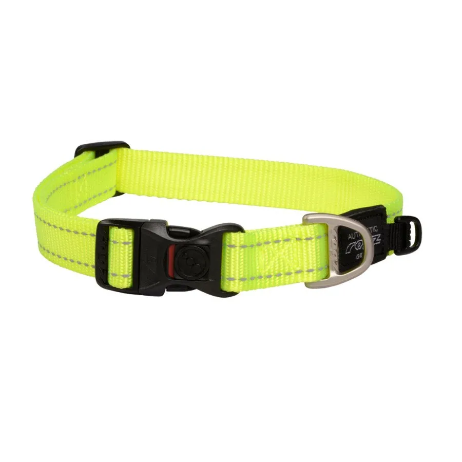 Rogz Dog Collar Dayglow