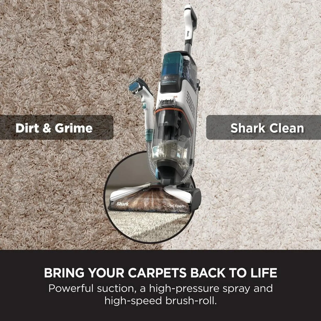 Shark Carpet Expert & Stain Striker | EX200UK