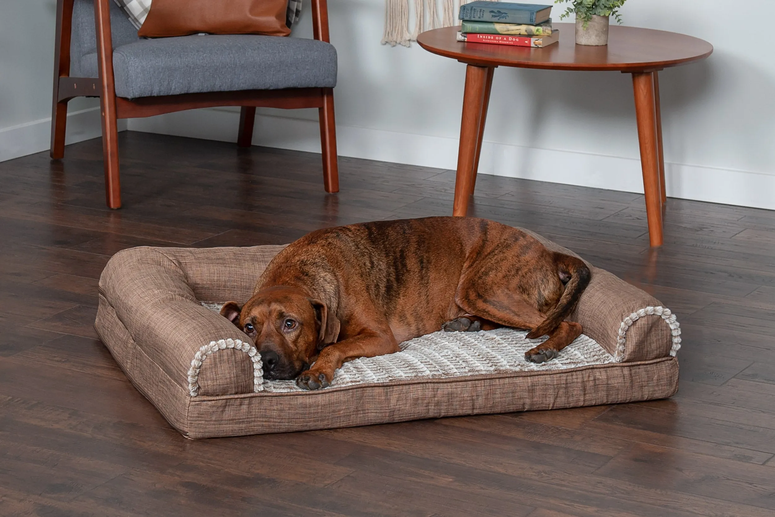 Sofa Dog Bed - Luxe Fur & Performance Linen