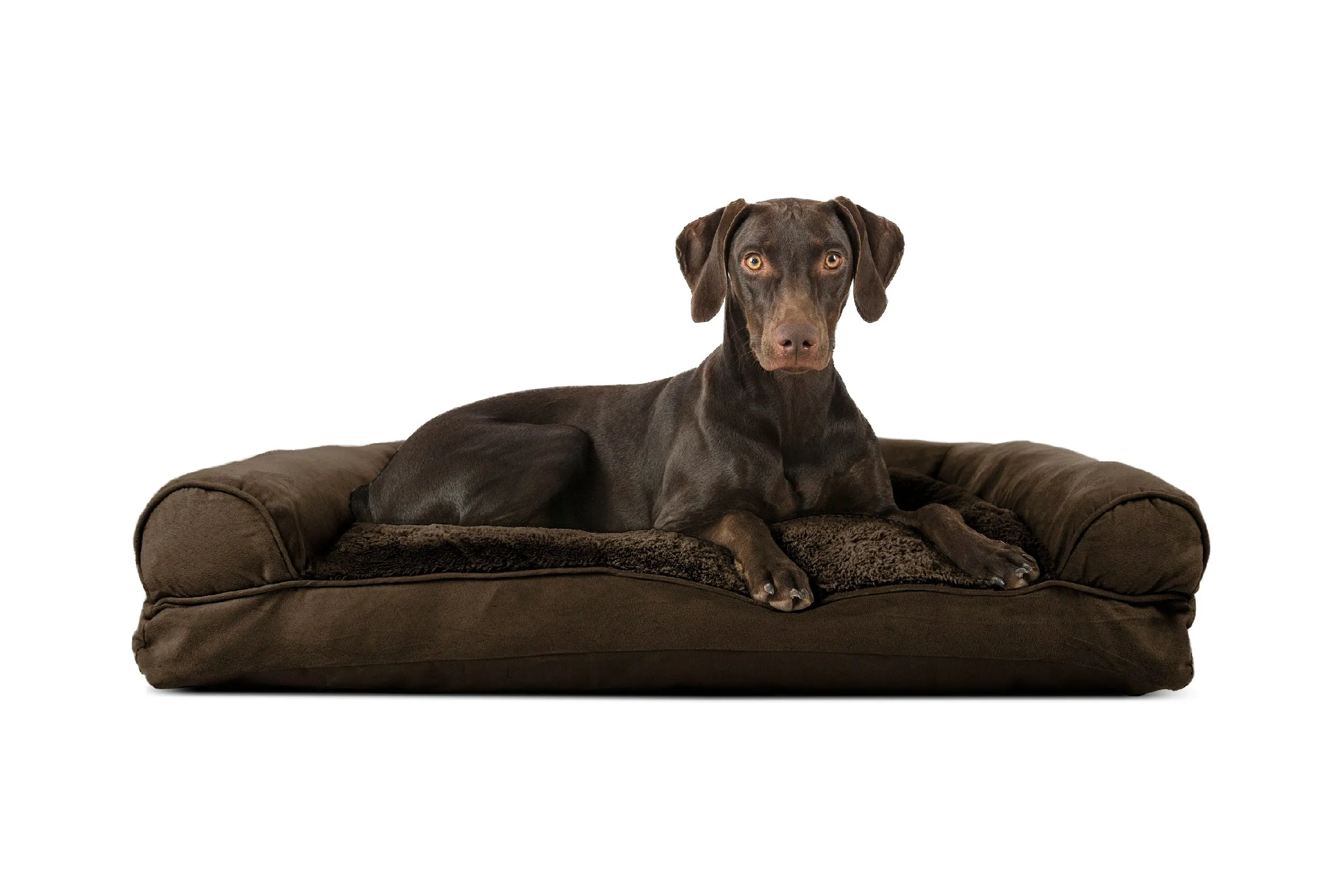 Sofa Dog Bed - Plush & Suede