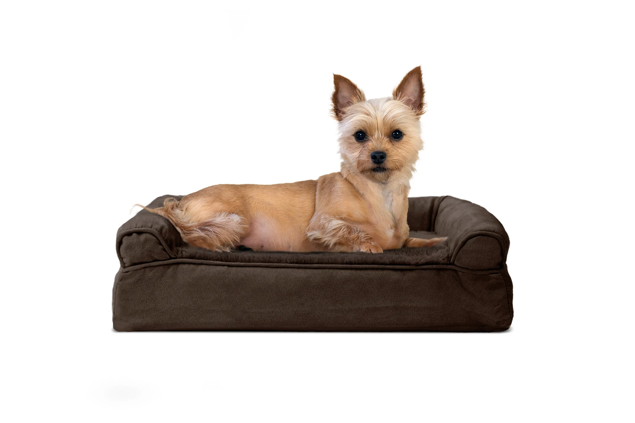 Sofa Dog Bed - Plush & Suede