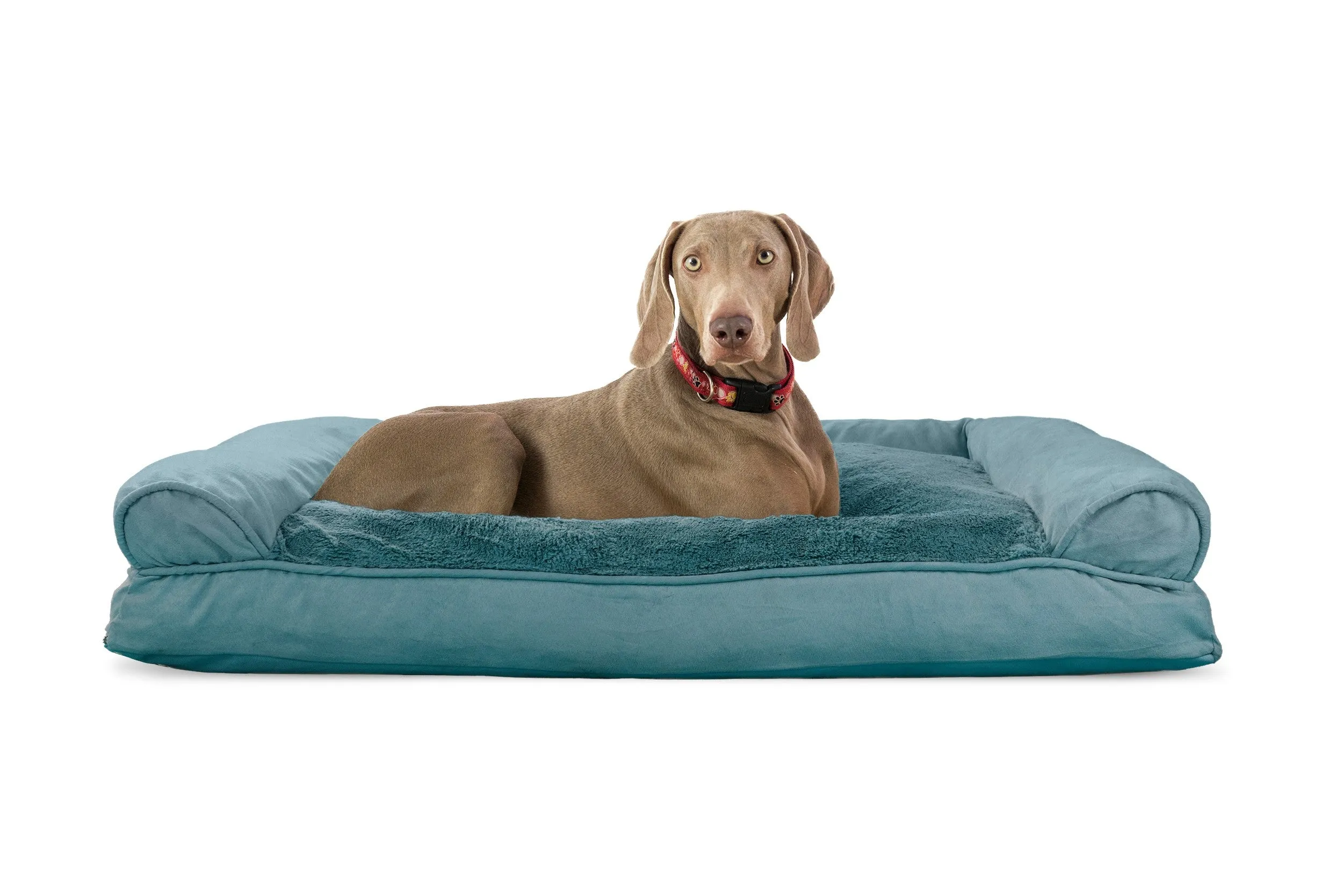 Sofa Dog Bed - Plush & Suede