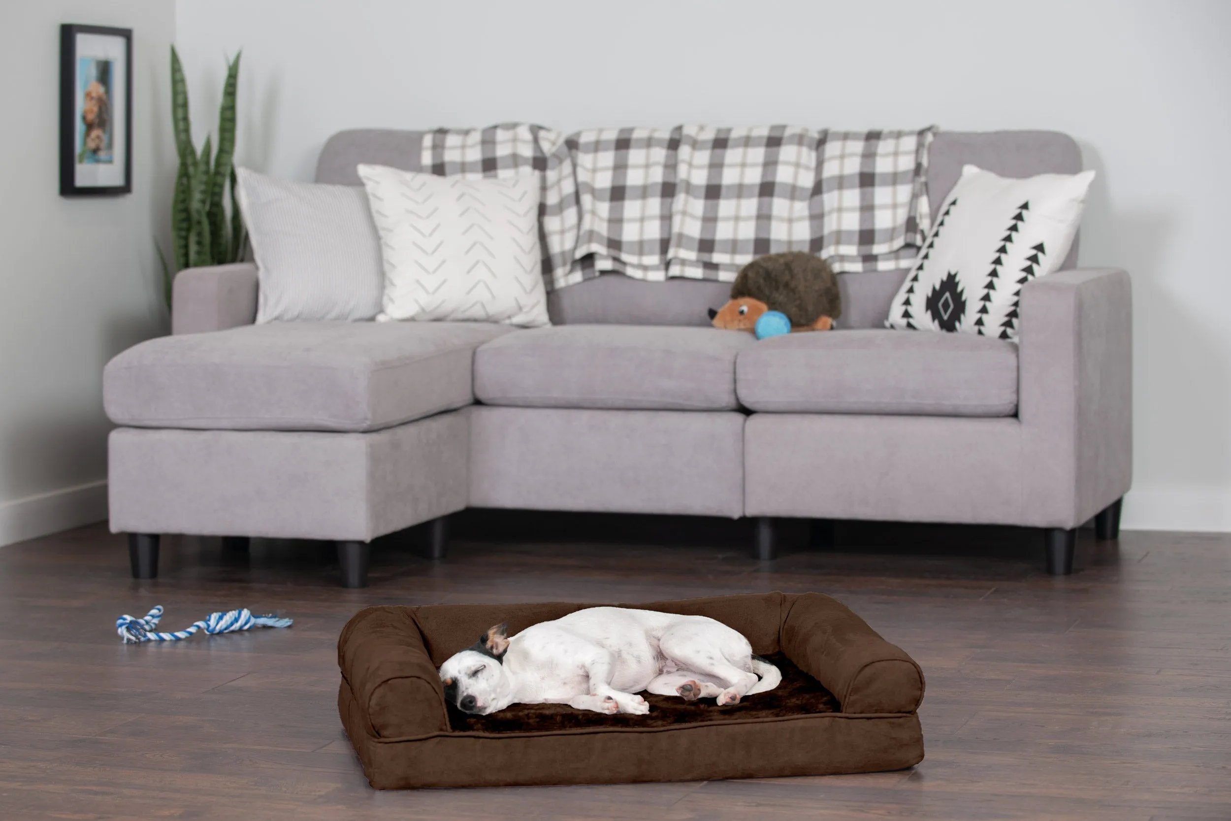 Sofa Dog Bed - Plush & Suede