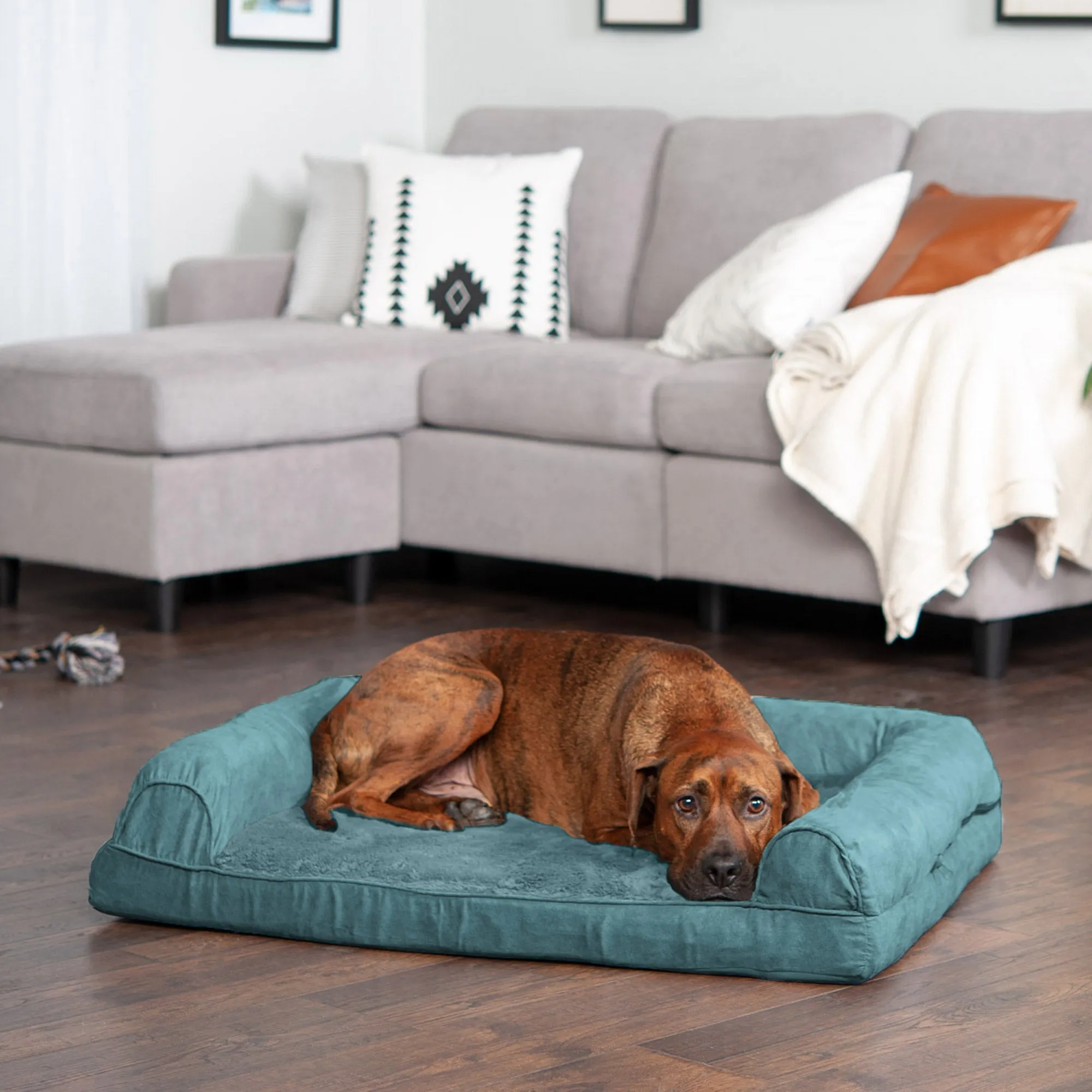 Sofa Dog Bed - Plush & Suede