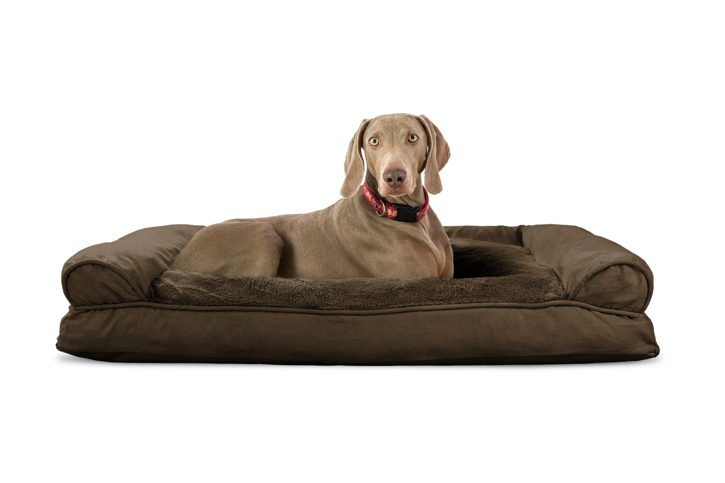 Sofa Dog Bed - Plush & Suede