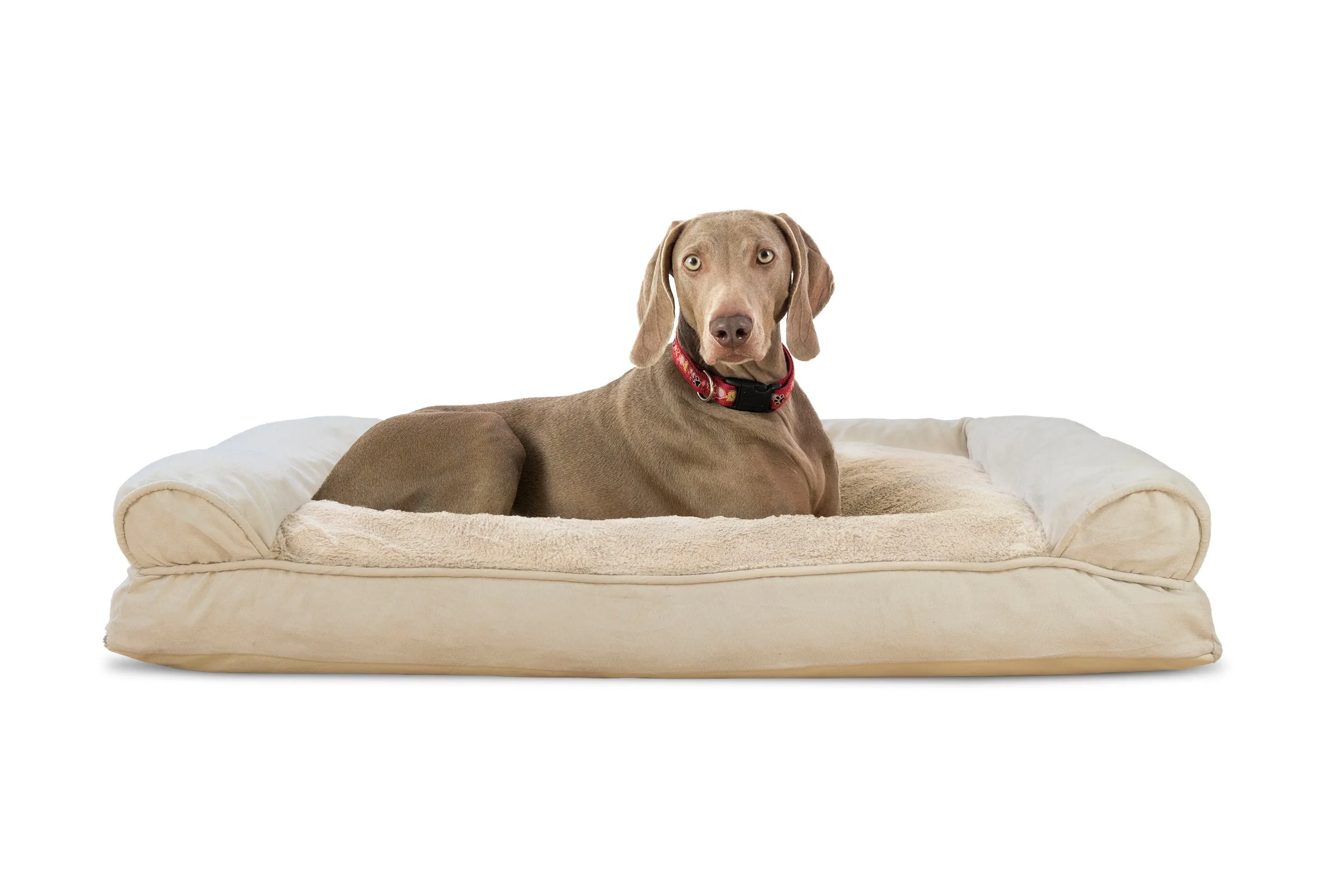 Sofa Dog Bed - Plush & Suede