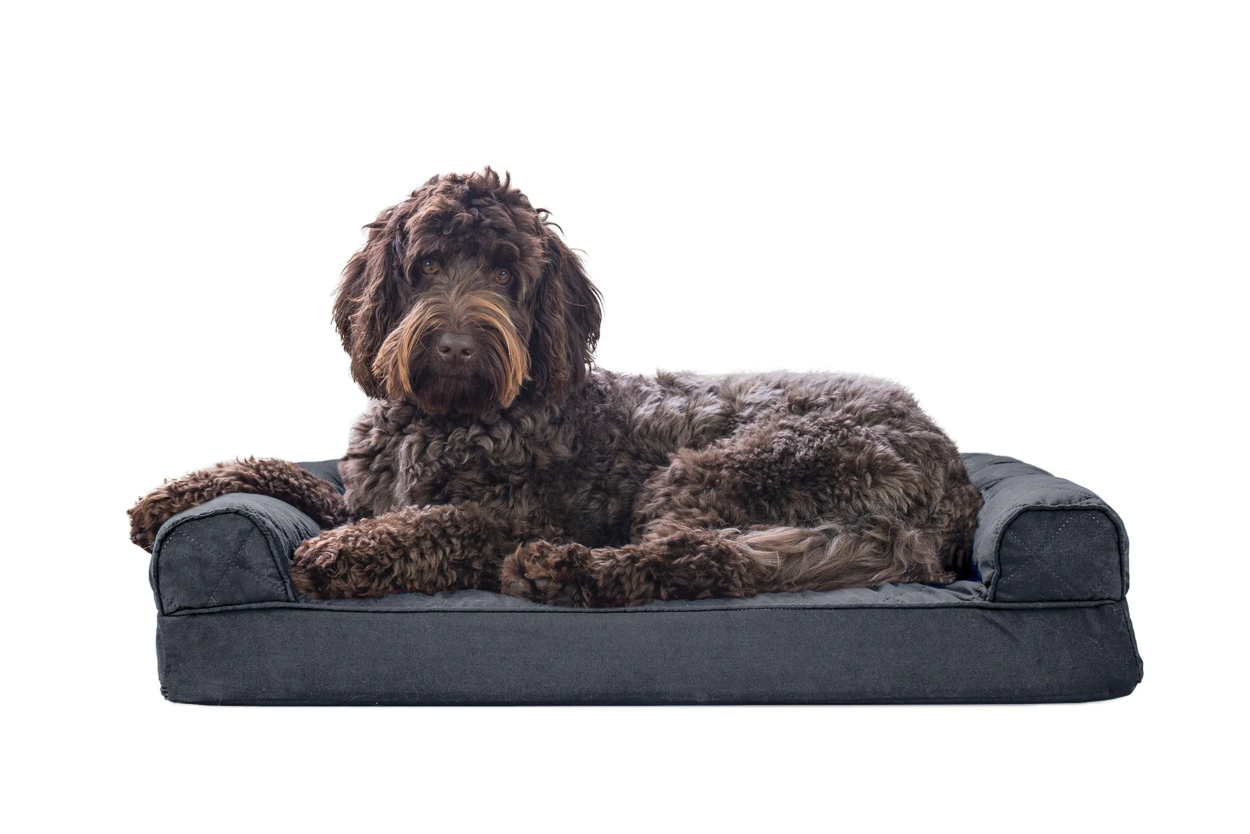 Sofa Dog Bed - Quilted