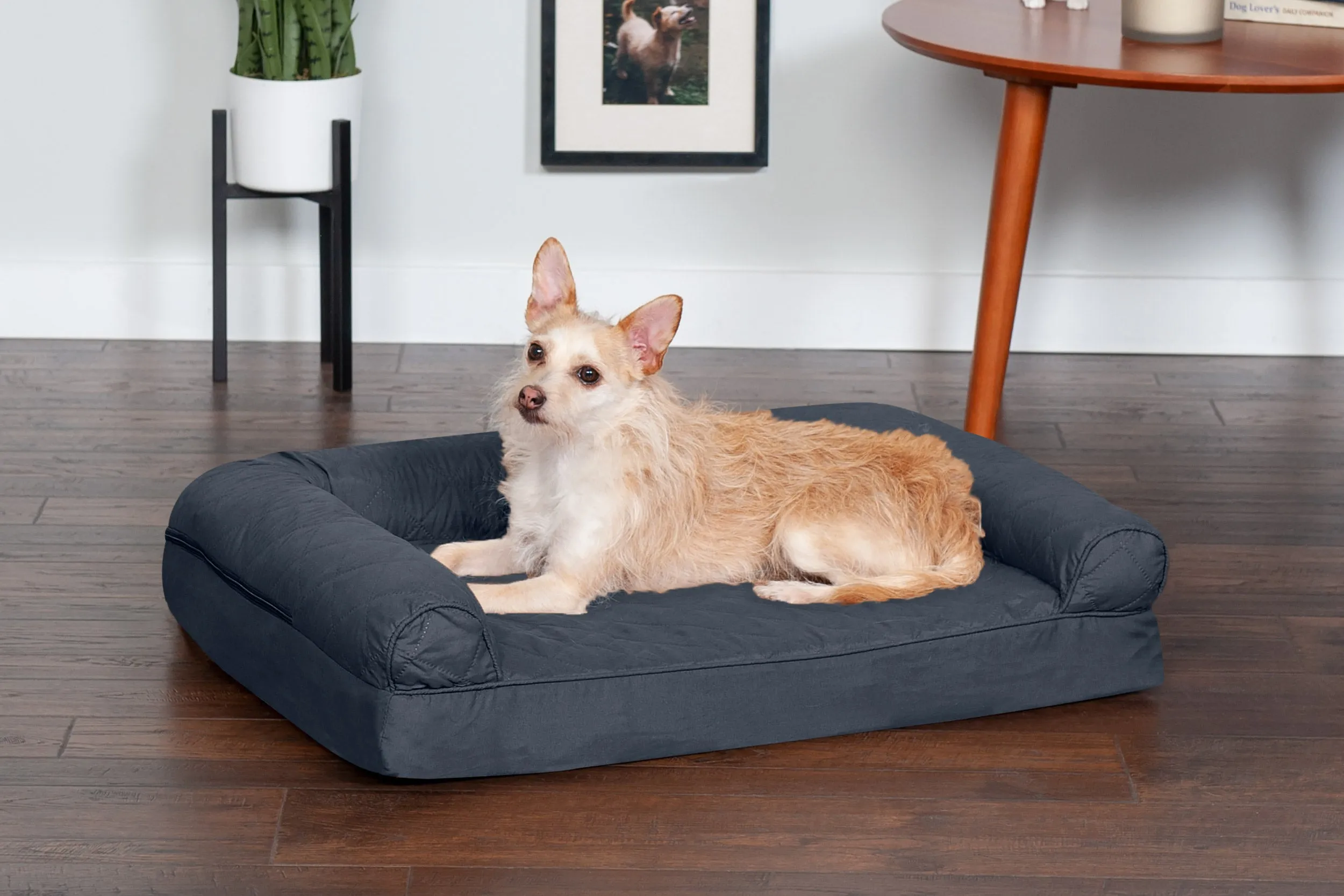 Sofa Dog Bed - Quilted