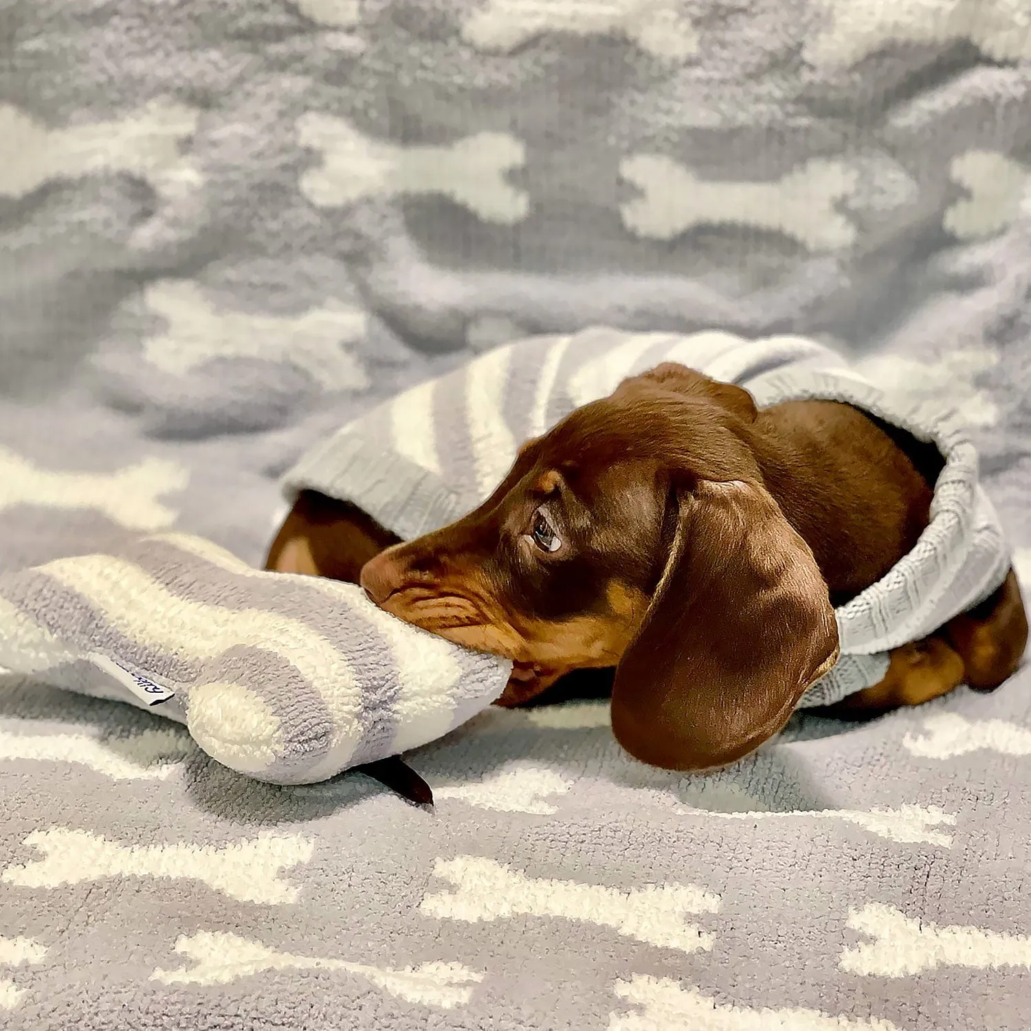 Ultra Soft Chenille Gift Box for Puppy