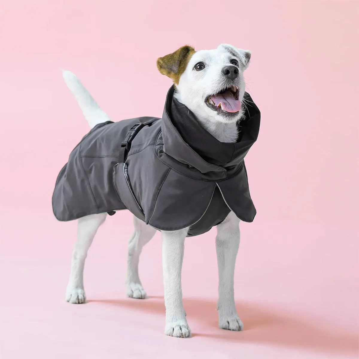 Visibility Winter Dog Jacket Dark